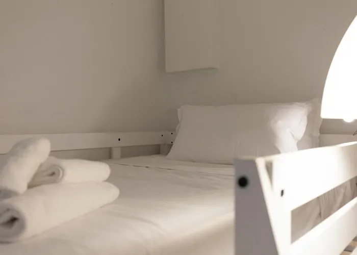 Federighi Comfort *
